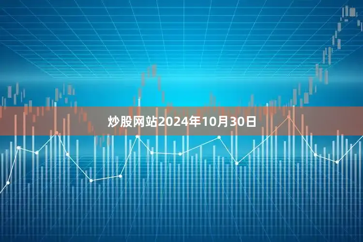 炒股网站2024年10月30日